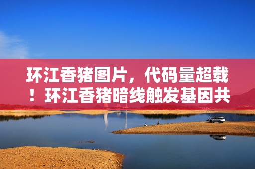 环江香猪图片，代码量超载！环江香猪暗线触发基因共振，玩家集体头皮发麻