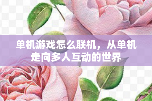 单机游戏怎么联机,从单机走向多人互动的世界 单机游戏怎么联机,从单机走向多人互动的世界