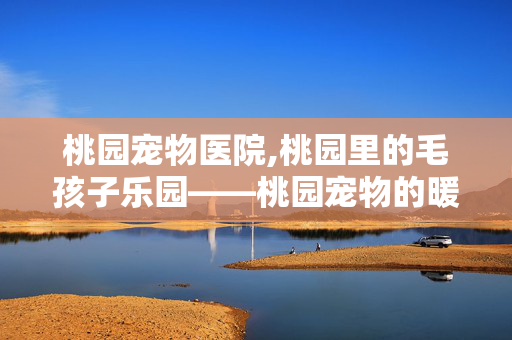 桃园宠物医院,桃园里的毛孩子乐园——桃园宠物的暖心时光 桃园宠物医院,桃园里的毛孩子乐园——桃园宠物的暖心时光