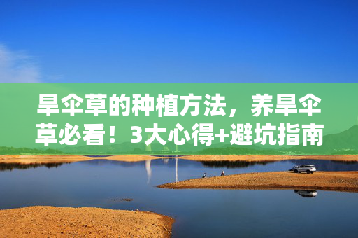 旱伞草的种植方法，养旱伞草必看！3大心得+避坑指南，让你的绿植美出新高度！