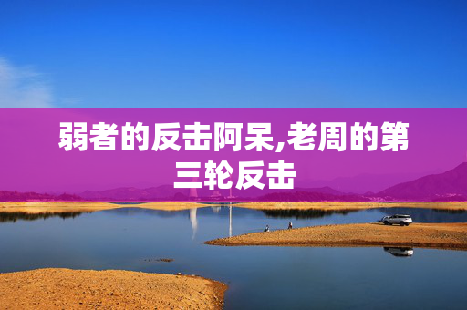 弱者的反击阿呆,老周的第三轮反击 弱者的反击阿呆,老周的第三轮反击