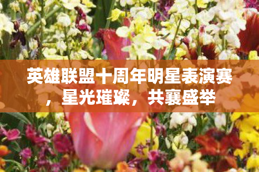 英雄联盟十周年明星表演赛,星光璀璨,共襄盛举 英雄联盟十周年明星表演赛,星光璀璨,共襄盛举