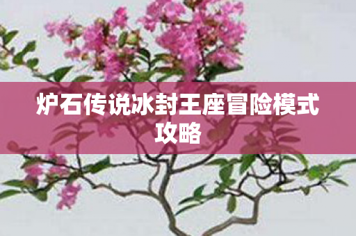 炉石传说冰封王座冒险模式攻略 炉石传说冰封王座冒险模式攻略