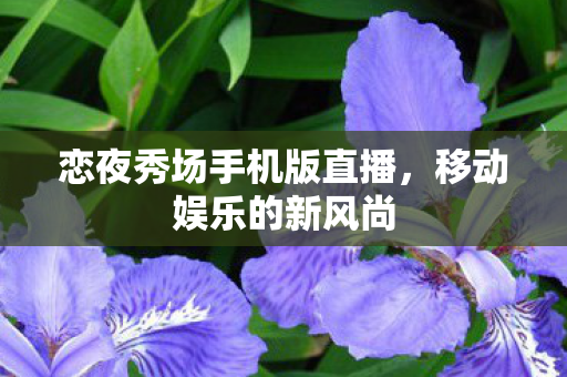 恋夜秀场手机版直播,移动娱乐的新风尚 恋夜秀场手机版直播,移动娱乐的新风尚