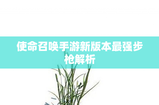 使命召唤手游新版本最强步枪解析 使命召唤手游新版本最强步枪解析