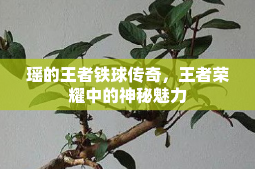 瑶的王者铁球传奇,王者荣耀中的神秘魅力 瑶的王者铁球传奇,王者荣耀中的神秘魅力