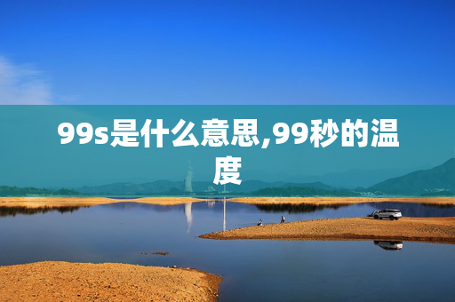 99s是什么意思,99秒的温度
