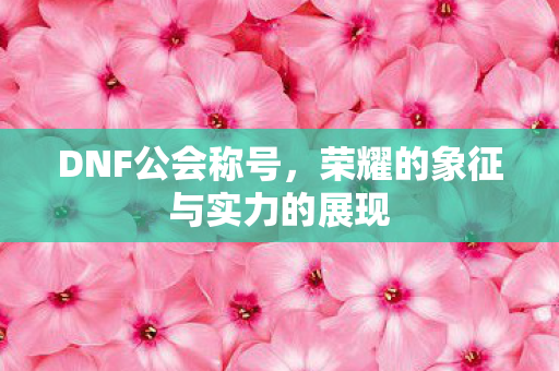 DNF公会称号,荣耀的象征与实力的展现 DNF公会称号,荣耀的象征与实力的展现