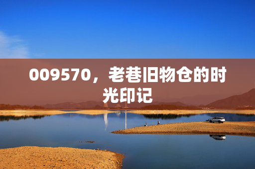 009570,老巷旧物仓的时光印记 009570,老巷旧物仓的时光印记