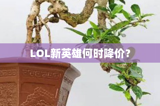 LOL新英雄何时降价? LOL新英雄何时降价?