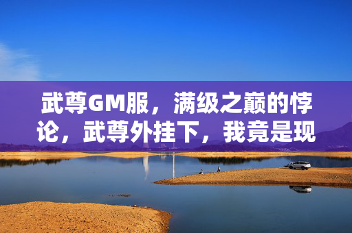 武尊GM服,满级之巅的悖论,武尊外挂下,我竟是现实最底层逃兵 武尊GM服,满级之巅的悖论,武尊外挂下,我竟是现实最底层逃兵