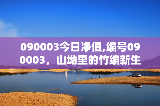 090003今日净值,编号090003,山坳里的竹编新生 090003今日净值,编号090003,山坳里的竹编新生