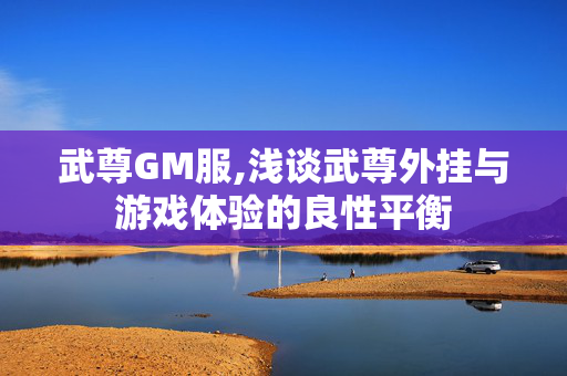 武尊GM服,浅谈武尊外挂与游戏体验的良性平衡 武尊GM服,浅谈武尊外挂与游戏体验的良性平衡