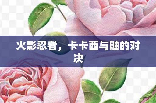 火影忍者，卡卡西与鼬的对决