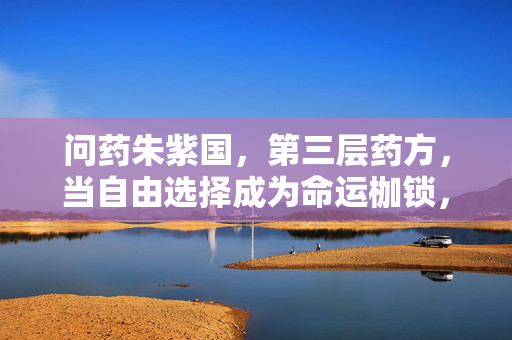 问药朱紫国，第三层药方，当自由选择成为命运枷锁，灵魂震颤的终极悖论