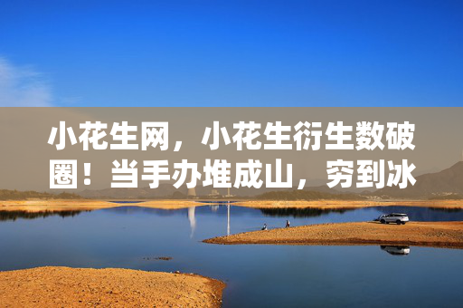 小花生网，小花生衍生数破圈！当手办堆成山，穷到冰箱空却觉值到离谱！