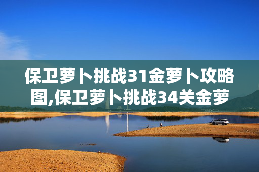 保卫萝卜挑战31金萝卜攻略图,保卫萝卜挑战34关金萝卜通关详细攻略