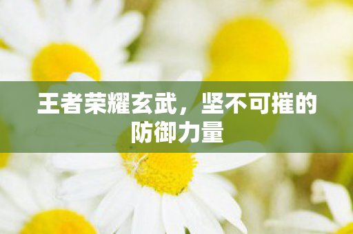 王者荣耀玄武,坚不可摧的防御力量 王者荣耀玄武,坚不可摧的防御力量