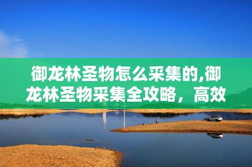 御龙林圣物怎么采集的,御龙林圣物采集全攻略,高效获取珍贵资源的实用技巧 御龙林圣物怎么采集的,御龙林圣物采集全攻略,高效获取珍贵资源的实用技巧