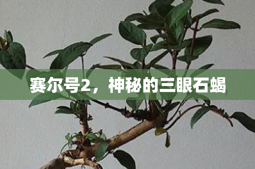 赛尔号2,神秘的三眼石蝎 赛尔号2,神秘的三眼石蝎