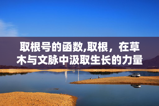 取根号的函数,取根，在草木与文脉中汲取生长的力量