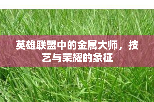 英雄联盟中的金属大师,技艺与荣耀的象征 英雄联盟中的金属大师,技艺与荣耀的象征