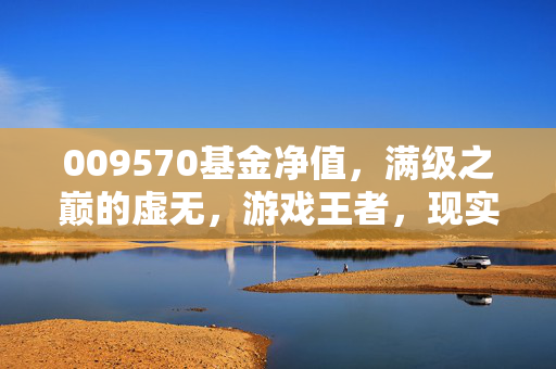 009570基金净值,满级之巅的虚无,游戏王者,现实负级,灵魂何处安放? 009570基金净值,满级之巅的虚无,游戏王者,现实负级,灵魂何处安放?
