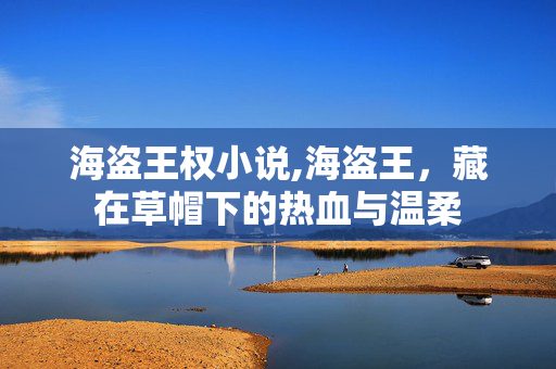 海盗王权小说,海盗王,藏在草帽下的热血与温柔 海盗王权小说,海盗王,藏在草帽下的热血与温柔