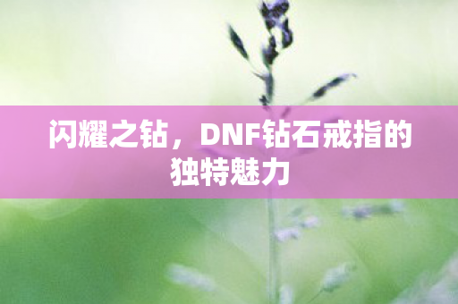 闪耀之钻,DNF钻石戒指的独特魅力 闪耀之钻,DNF钻石戒指的独特魅力
