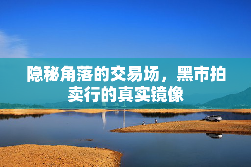 隐秘角落的交易场,黑市拍卖行的真实镜像 隐秘角落的交易场,黑市拍卖行的真实镜像