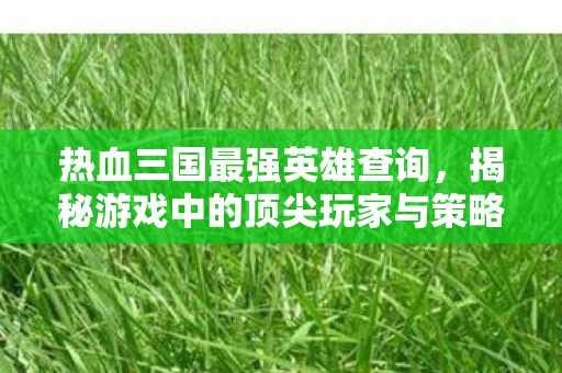 热血三国最强英雄查询,揭秘游戏中的顶尖玩家与策略 热血三国最强英雄查询,揭秘游戏中的顶尖玩家与策略