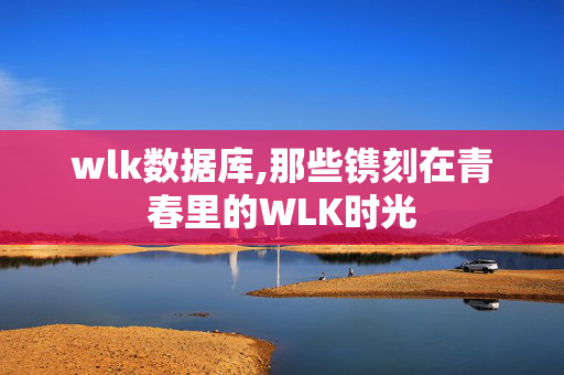 wlk数据库,那些镌刻在青春里的WLK时光