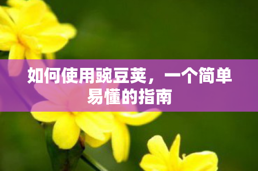 如何使用豌豆荚,一个简单易懂的指南 如何使用豌豆荚,一个简单易懂的指南
