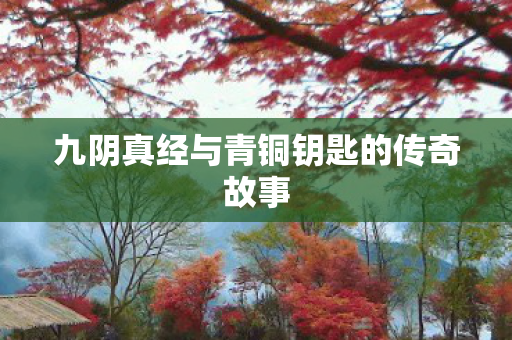 九阴真经与青铜钥匙的传奇故事
