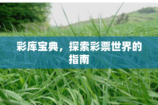 彩库宝典，探索彩票世界的指南