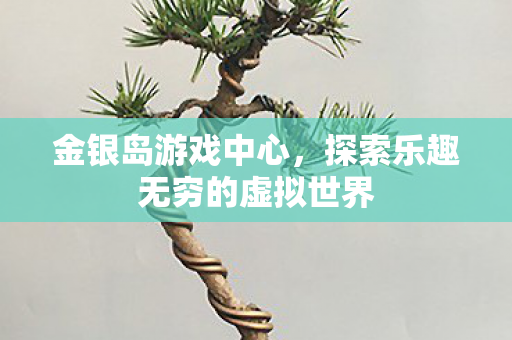 金银岛游戏中心,探索乐趣无穷的虚拟世界 金银岛游戏中心,探索乐趣无穷的虚拟世界