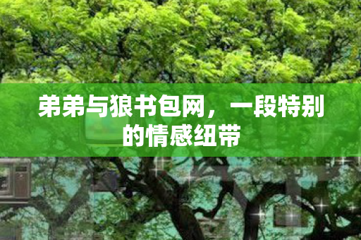 弟弟与狼书包网,一段特别的情感纽带 弟弟与狼书包网,一段特别的情感纽带