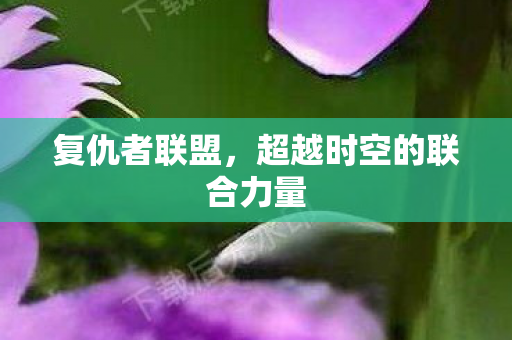 复仇者联盟,超越时空的联合力量 复仇者联盟,超越时空的联合力量