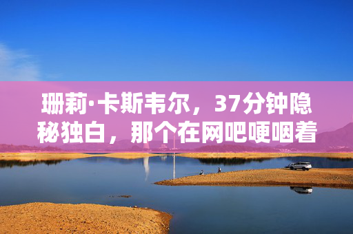 珊莉·卡斯韦尔，37分钟隐秘独白，那个在网吧哽咽着通关的珊莉，后来怎样了？