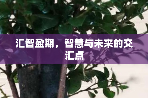 汇智盈期,智慧与未来的交汇点 汇智盈期,智慧与未来的交汇点