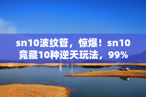 sn10波纹管,惊爆!sn10竟藏10种逆天玩法,99%玩家不知的隐藏机制! sn10波纹管,惊爆!sn10竟藏10种逆天玩法,99%玩家不知的隐藏机制!