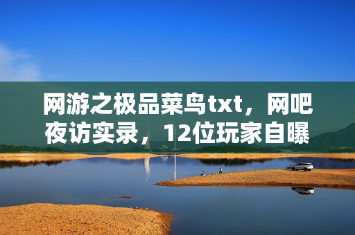 网游之极品菜鸟txt，网吧夜访实录，12位玩家自曝疑点操作，绷不住的菜鸟糗事大公开！