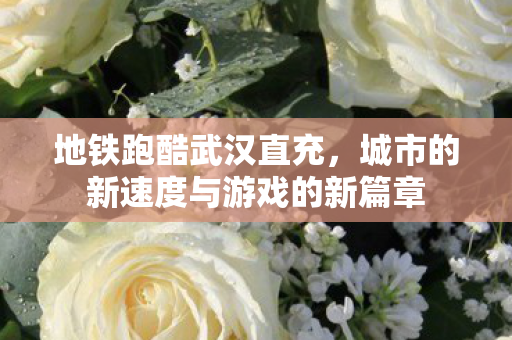 地铁跑酷武汉直充,城市的新速度与游戏的新篇章 地铁跑酷武汉直充,城市的新速度与游戏的新篇章