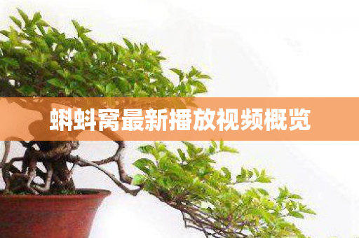 蝌蚪窝最新播放视频概览 蝌蚪窝最新播放视频概览