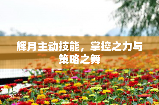 辉月主动技能,掌控之力与策略之舞 辉月主动技能,掌控之力与策略之舞