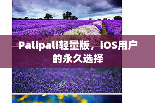 Palipali轻量版,iOS用户的永久选择 Palipali轻量版,iOS用户的永久选择