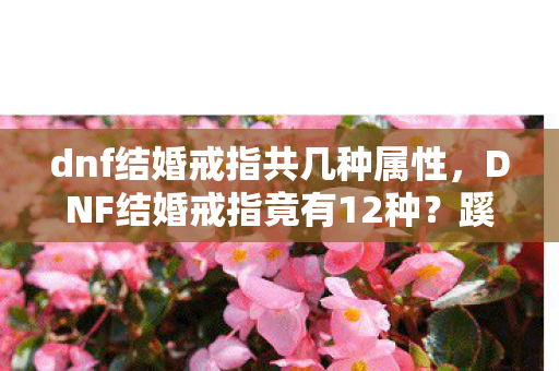 dnf结婚戒指共几种属性，DNF结婚戒指竟有12种？蹊跷数据背后，后背发凉的真相浮出水面！