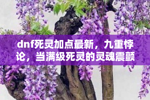 dnf死灵加点最新,九重悖论,当满级死灵的灵魂震颤撕裂了现实与虚拟的次元壁 dnf死灵加点最新,九重悖论,当满级死灵的灵魂震颤撕裂了现实与虚拟的次元壁
