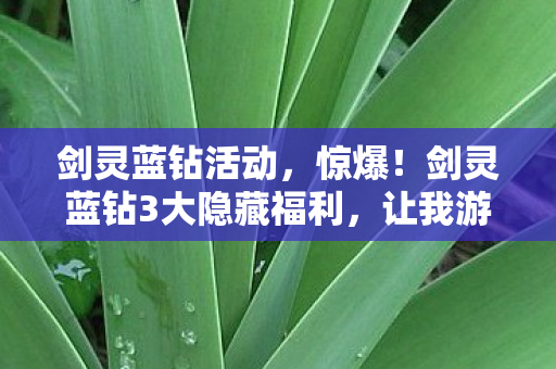 剑灵蓝钻活动,惊爆!剑灵蓝钻3大隐藏福利,让我游戏体验飙升10倍! 剑灵蓝钻活动,惊爆!剑灵蓝钻3大隐藏福利,让我游戏体验飙升10倍!