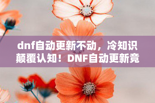 dnf自动更新不动，冷知识颠覆认知！DNF自动更新竟藏着让玩家目瞪口呆的隐藏剧本